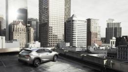 Lexus NX 200t (2014) - widok z tyłu