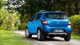 Dacia Sandero II Stepway - widok z tyłu