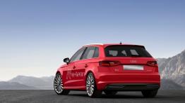 Audi A3 III Sportback e-tron (2013) - widok z tyłu