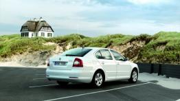 Skoda Octavia II GreenLine Hatchback Facelifting - widok z tyłu