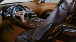 Opel Insignia Concept - widok ogólny wnętrza z przodu