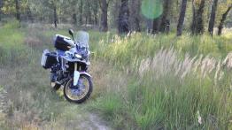 Honda Africa Twin DCT – automatyczna legenda