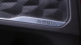 Ból głowy Elona, obawy marek premium – Hyundai na Poznań Motor Show 2018