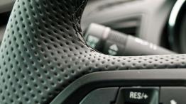 Insygnia mocy - Opel Insignia