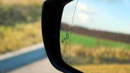 Szybkobus - Ford S-Max 2.0 EcoBoost