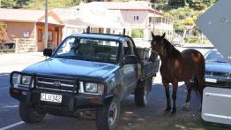 Whangamomona (fotostory) - Audi Q5