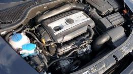 Czy warto kupić: używana Skoda Octavia II (od 2004)