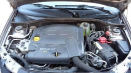 Czy warto kupić: używane Renault Thalia (od 2008 do 2012)