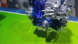 Ford Fiesta – galeria redakcyjna