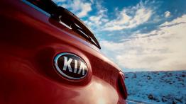 Kia Stonic 1.4 DOHC 100 KM - galeria redakcyjna