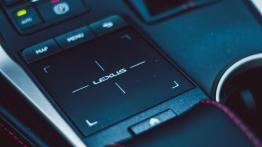Lexus NX 300 - galeria redakcyjna (4)
