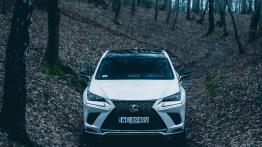 Lexus NX 300 - galeria redakcyjna (4) - widok z przodu
