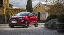 Ford EcoSport (2017) - widok z tyłu