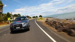 Audi Q5 w Nowej Zelandii - część 5 - galeria redakcyjna - inne zdjęcie