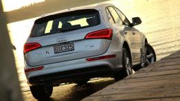 Audi Q5 w Nowej Zelandii - część 2 - galeria redakcyjna - inne zdjęcie