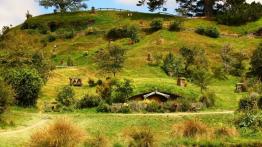 Audi Q5 w Nowej Zelandii - część 1 - galeria redakcyjna - inne zdjęcie