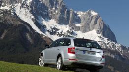 Skoda Octavia III Kombi 4x4 TSI (2013) - widok z tyłu