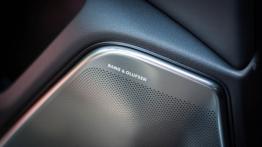 Audi RS6 Avant 4.0 TFSI 560KM - galeria redakcyjna - głośnik w drzwiach przednich