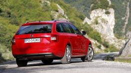 Skoda Octavia III Kombi 4x4 TDI (2013) - widok z tyłu