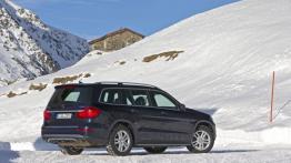 Mercedes GL 500 (X166) 4MATIC - widok z tyłu