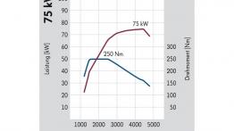 Volkswagen Caddy Maxi Kastenwagen - testowanie auta