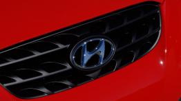 Hyundai Genesis Coupe - grill