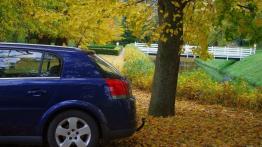 Opel Signum  Hatchback - galeria społeczności - lewe tylne nadkole