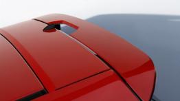 Citroen By Loeb - dach