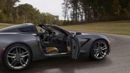 Chevrolet Corvette C7 Stingray - powrót legendy