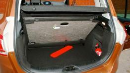 Zadziwia wszystkich - Ford B-Max