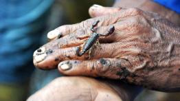 Raj paliwowy miejscem startu sezonu Ford Kite Cup 2012