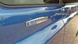 Mercedes-Benz Vito 110 CDI BlueEfficiency - dobry pracownik?