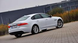 Jaguar XF - skok do przodu