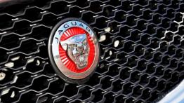 Jaguar XE 2.0d Prestige - Rademenes