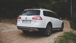 Volkswagen Golf Alltrack 2.0 TDI 184 KM - galeria redakcyjna (2) - widok z tyłu
