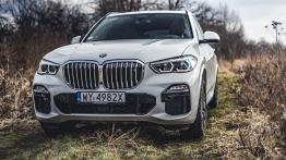 BMW X5 30d 265 KM - galeria redakcyjna - widok z przodu