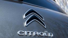 Citroen C5 Aircross 2.0 BlueHDI 178 KM - galeria redakcyjna