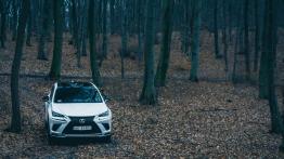 Lexus NX 300 - galeria redakcyjna (4) - widok z przodu