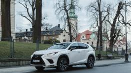 Lexus NX 300 - galeria redakcyjna (3)