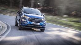 Ford EcoSport (2017) - widok z tyłu