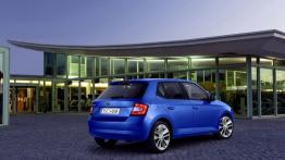 Skoda Fabia III hatchback (2015) - widok z tyłu