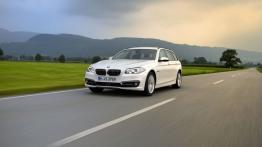 BMW serii 5 F11 520d Touring (2015) - widok z przodu