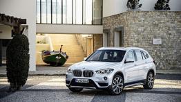 BMW X1 II xDrive20d (2016) - lewy bok