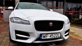 Jaguar XF (2016) - galeria redakcyjna - widok z przodu