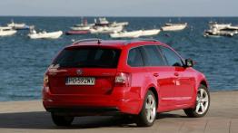 Skoda Octavia III Kombi 4x4 TDI (2013) - widok z tyłu