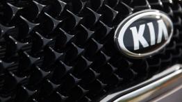 Kia Sportage III Facelifting (2014) - grill