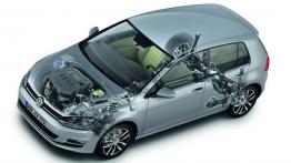 Volkswagen Golf VII 4Motion - schemat konstrukcyjny auta