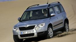 Skoda Yeti 2009 - widok z przodu