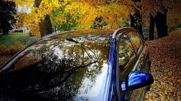 Opel Signum  Hatchback - galeria społeczności - szyba przednia