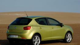 Seat Ibiza 2008 - prawy bok